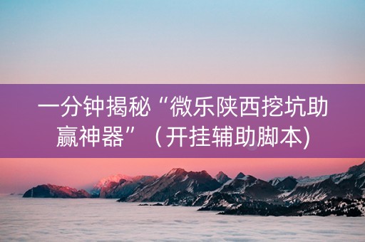 一分钟揭秘“微乐陕西挖坑助赢神器”（开挂辅助脚本)