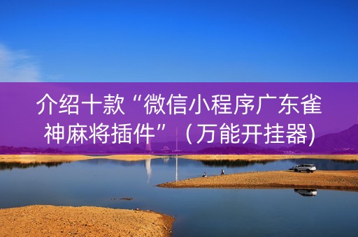介绍十款“微信小程序广东雀神麻将插件”（万能开挂器)