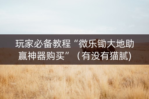 玩家必备教程“微乐锄大地助赢神器购买”（有没有猫腻)