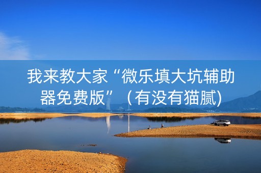 我来教大家“微乐填大坑辅助器免费版”（有没有猫腻)