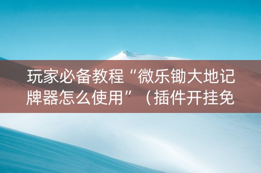 玩家必备教程“微乐锄大地记牌器怎么使用”（插件开挂免费AI)