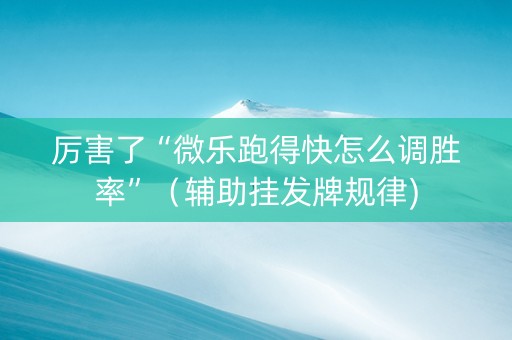 厉害了“微乐跑得快怎么调胜率”（辅助挂发牌规律)