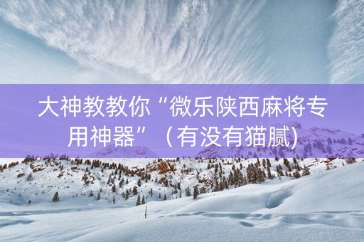 大神教教你“微乐陕西麻将专用神器”（有没有猫腻)