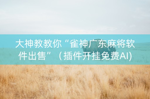 大神教教你“雀神广东麻将软件出售”（插件开挂免费AI)