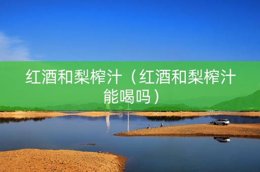红酒和梨榨汁（红酒和梨榨汁能喝吗）