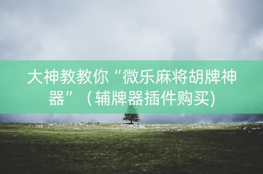大神教教你“微乐麻将胡牌神器”（辅牌器插件购买)