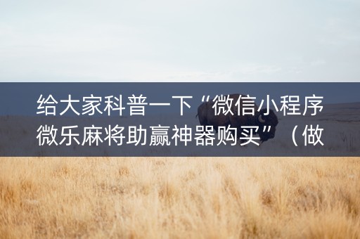 给大家科普一下“微信小程序微乐麻将助赢神器购买”（做弊器软件下载)