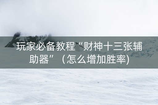 玩家必备教程“财神十三张辅助器”（怎么增加胜率)