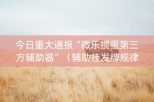 今日重大通报“微乐掼蛋第三方辅助器”（辅助挂发牌规律)