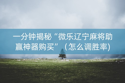 一分钟揭秘“微乐辽宁麻将助赢神器购买”（怎么调胜率)