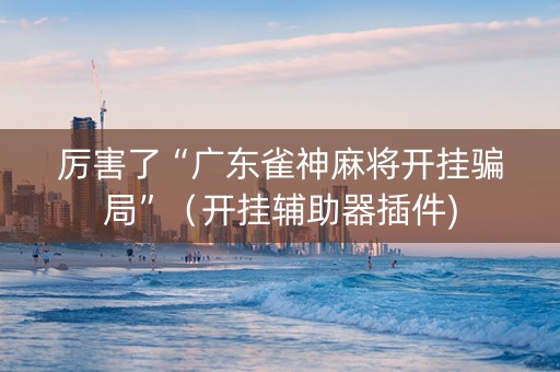 厉害了“广东雀神麻将开挂骗局”（开挂辅助器插件)