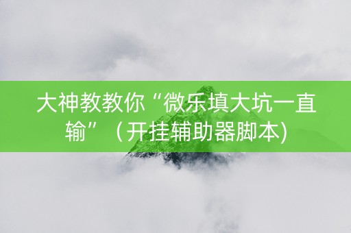 大神教教你“微乐填大坑一直输”（开挂辅助器脚本)