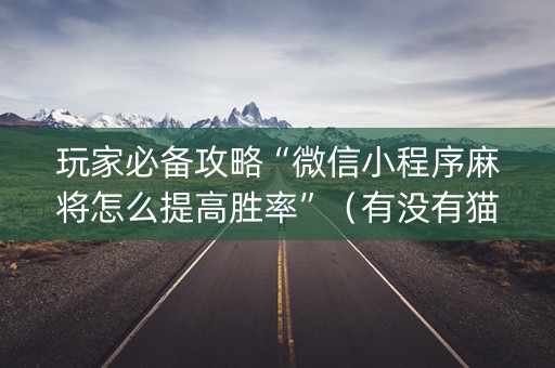玩家必备攻略“微信小程序麻将怎么提高胜率”（有没有猫腻)