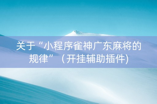 关于“小程序雀神广东麻将的规律”（开挂辅助插件)