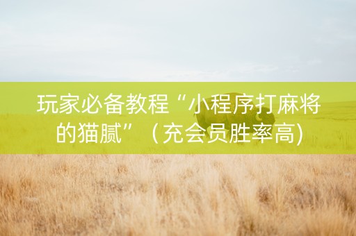 玩家必备教程“小程序打麻将的猫腻”（充会员胜率高)