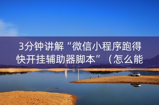 3分钟讲解“微信小程序跑得快开挂辅助器脚本”（怎么能得到好牌)
