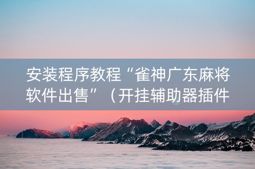 安装程序教程“雀神广东麻将软件出售”（开挂辅助器插件)