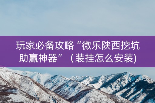 玩家必备攻略“微乐陕西挖坑助赢神器”（装挂怎么安装)