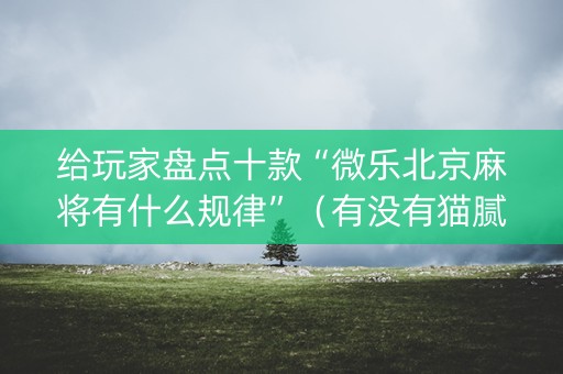 给玩家盘点十款“微乐北京麻将有什么规律”（有没有猫腻)