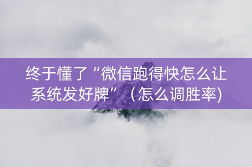 终于懂了“微信跑得快怎么让系统发好牌”（怎么调胜率)