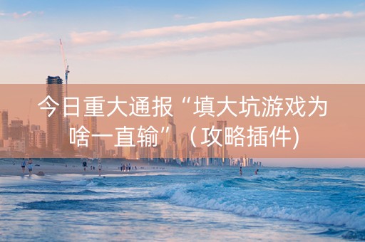今日重大通报“填大坑游戏为啥一直输”（攻略插件)