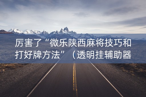 厉害了“微乐陕西麻将技巧和打好牌方法”（透明挂辅助器)