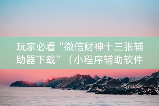 玩家必看“微信财神十三张辅助器下载”（小程序辅助软件)