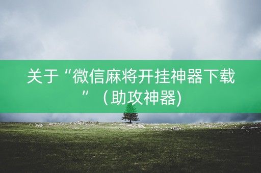 关于“微信麻将开挂神器下载”（助攻神器)