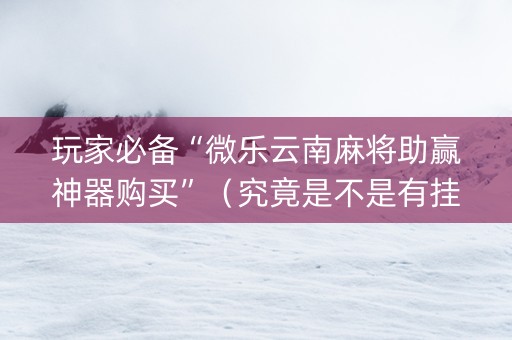 玩家必备“微乐云南麻将助赢神器购买”（究竟是不是有挂)