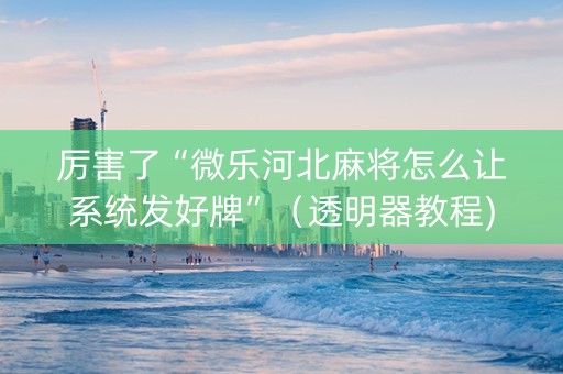厉害了“微乐河北麻将怎么让系统发好牌”（透明器教程)