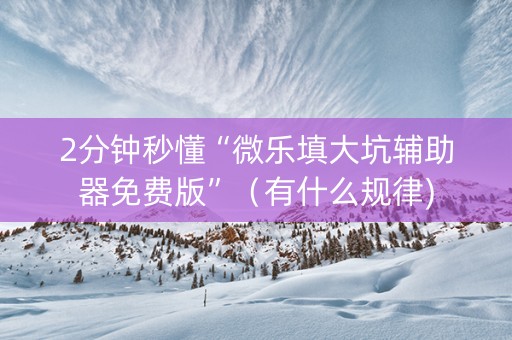 2分钟秒懂“微乐填大坑辅助器免费版”（有什么规律)