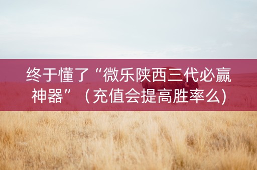 终于懂了“微乐陕西三代必赢神器”（充值会提高胜率么)