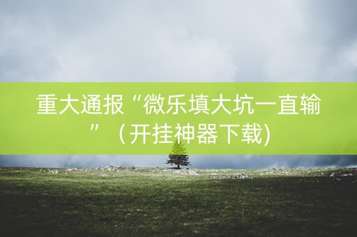 重大通报“微乐填大坑一直输”（开挂神器下载)