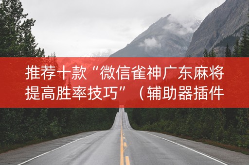 推荐十款“微信雀神广东麻将提高胜率技巧”（辅助器插件)