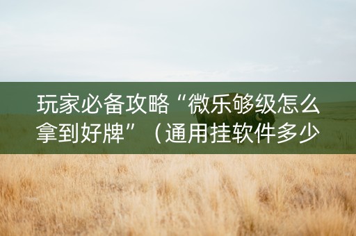 玩家必备攻略“微乐够级怎么拿到好牌”（通用挂软件多少钱)