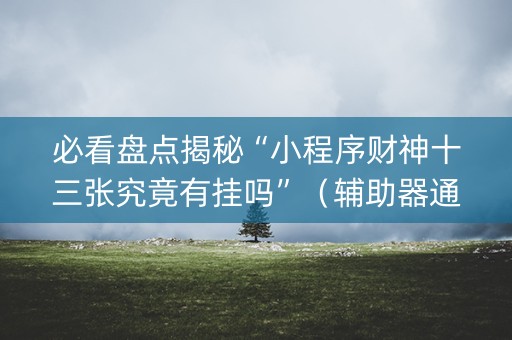 必看盘点揭秘“小程序财神十三张究竟有挂吗”（辅助器通用版)