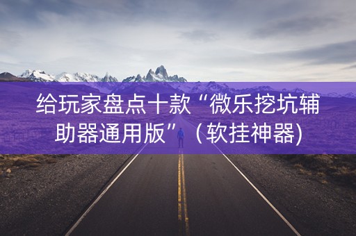 给玩家盘点十款“微乐挖坑辅助器通用版”（软挂神器)