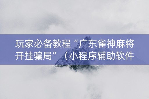 玩家必备教程“广东雀神麻将开挂骗局”（小程序辅助软件)