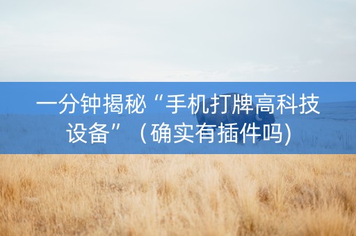 一分钟揭秘“手机打牌高科技设备”（确实有插件吗)
