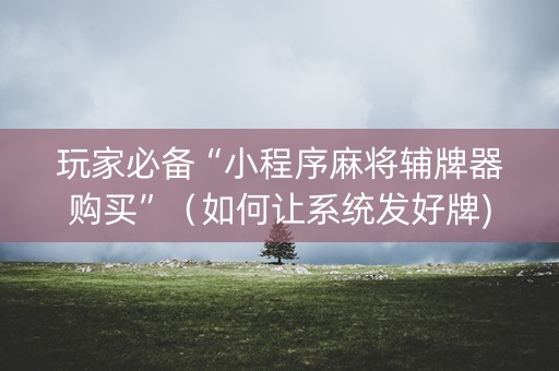 玩家必备“小程序麻将辅牌器购买”（如何让系统发好牌)