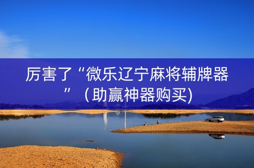厉害了“微乐辽宁麻将辅牌器”（助赢神器购买)