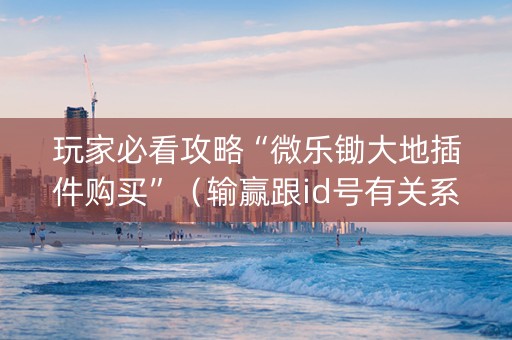 玩家必看攻略“微乐锄大地插件购买”（输赢跟id号有关系吗)