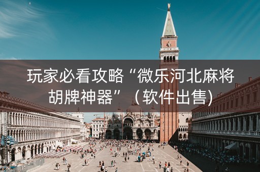 玩家必看攻略“微乐河北麻将胡牌神器”（软件出售)