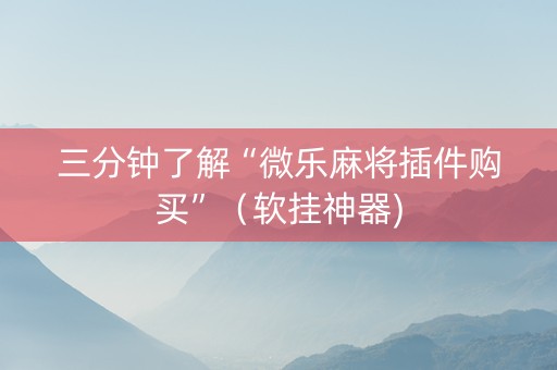 三分钟了解“微乐麻将插件购买”（软挂神器)
