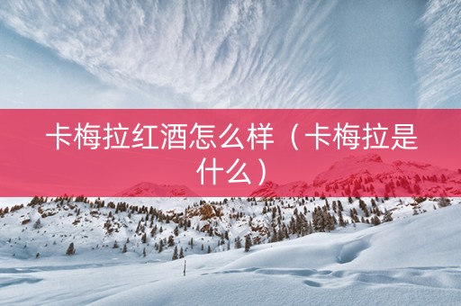卡梅拉红酒怎么样（卡梅拉是什么）