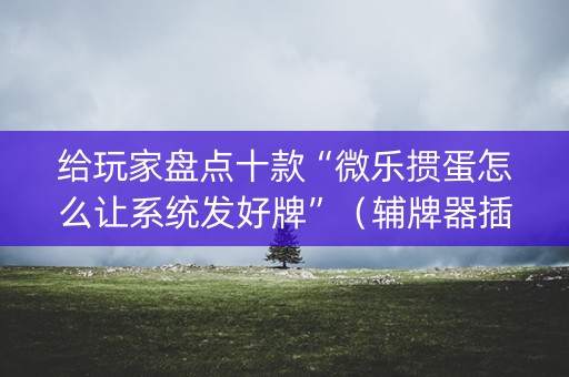 给玩家盘点十款“微乐掼蛋怎么让系统发好牌”（辅牌器插件购买)
