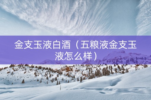 金支玉液白酒（五粮液金支玉液怎么样）