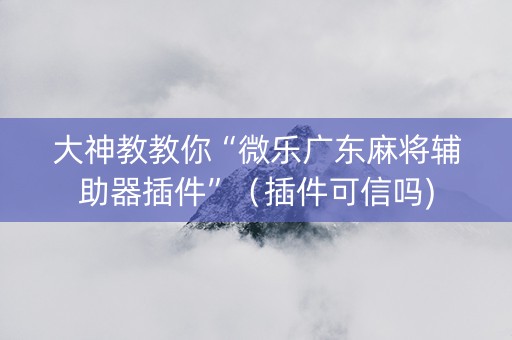 大神教教你“微乐广东麻将辅助器插件”（插件可信吗)