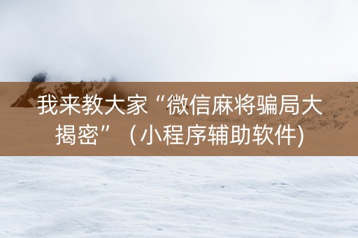 我来教大家“微信麻将骗局大揭密”（小程序辅助软件)