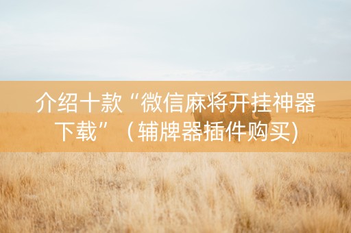 介绍十款“微信麻将开挂神器下载”（辅牌器插件购买)